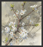 Botanicals