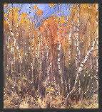Landscapes