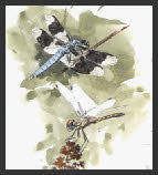 Other Animals