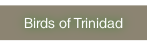 Birds of Trinidad.