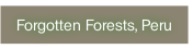 Forgotten Forests, Peru.