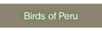 Birds of Peru.